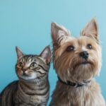 ワンちゃん・ネコちゃん